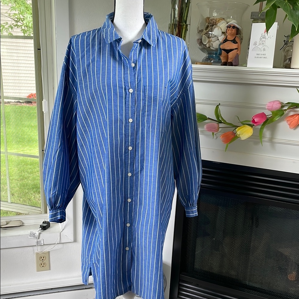 Women’s Blue Striped Shirtdress